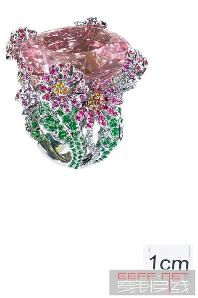 dior-joaillerie-excentriques-jewellery-_28.jpg